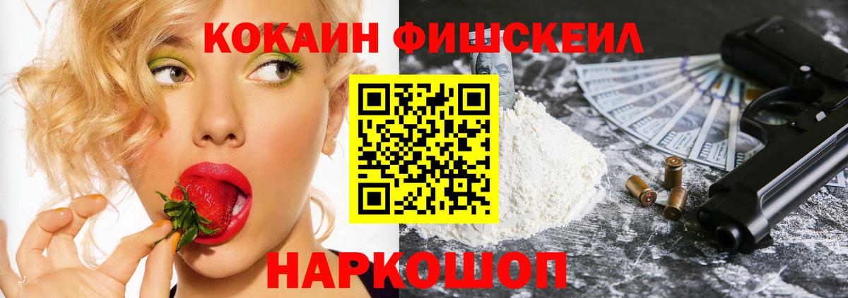 COCAIN FishScale  Вход с VPN  Ишим  купить наркотик  Кокаин FishScale 