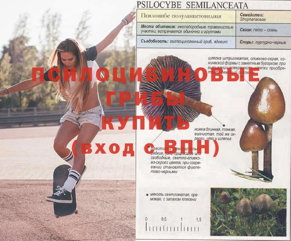 стафф Алексеевка