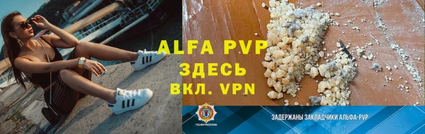 шишки Покачи