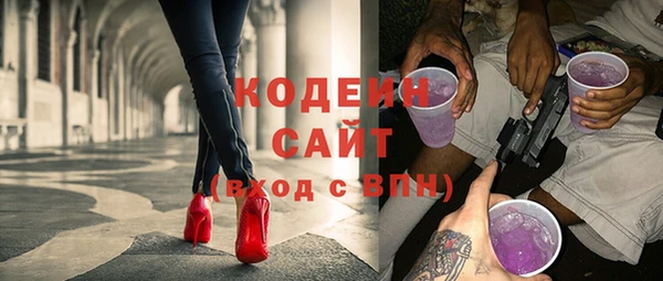 шишки Покачи