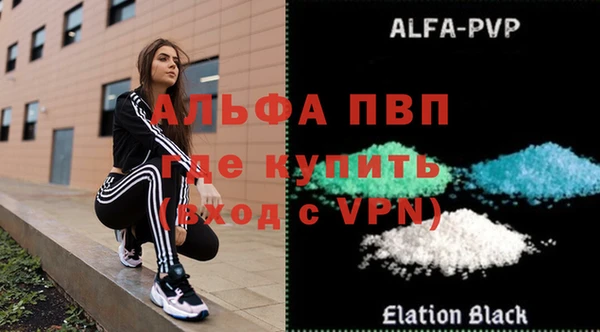 шишки Покачи