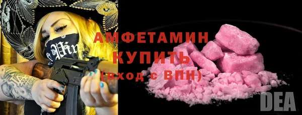 шишки Покачи