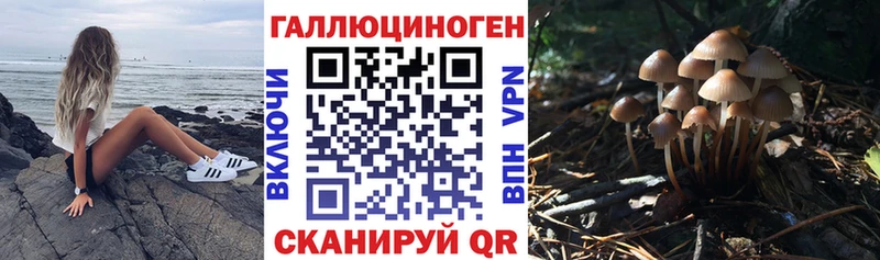 Галлюциногенные грибы Magic Shrooms Ишим